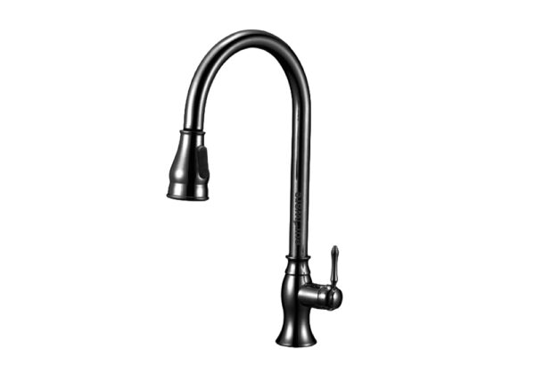 New Century faucet design