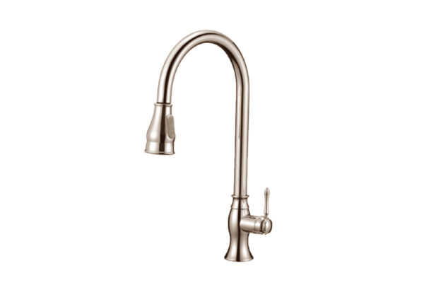 New Century faucet design - Image 3