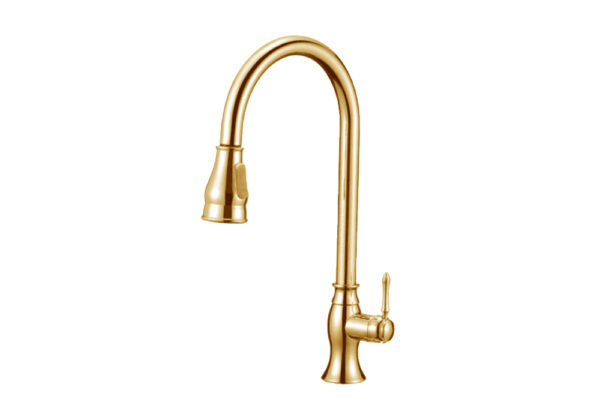 New Century faucet design - Image 5